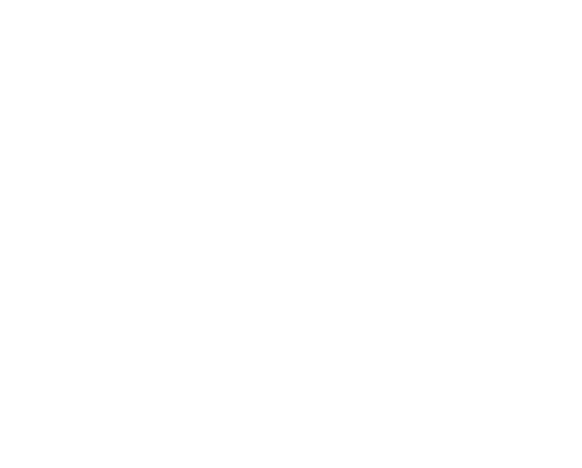 Delta Informatica